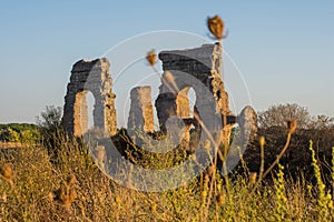 Parco degli Acquedotti, Rome, Italy