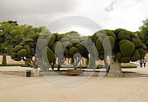 Parco del Retiro (Madrid) photo