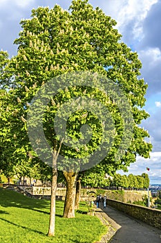 Parco di San Giovanni in Bergamo city, Italy