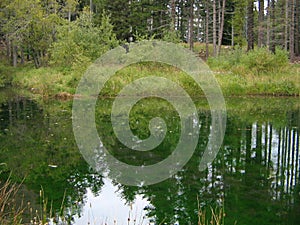 Parco naturale dell`Appennino Tosco Emiliano, Lagdei , Parma province,Italy photo