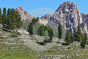 Parco naturale di Fanes close to Marebbe in Val PusteriaDolomiti, Italia