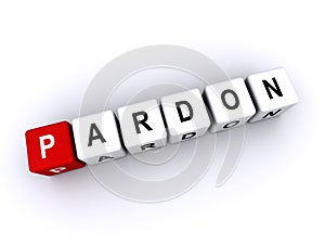 pardon word block on white