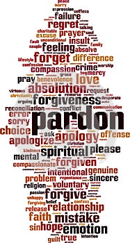 Pardon word cloud