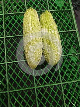 Pare putih sayur segar supermarket restoran photo