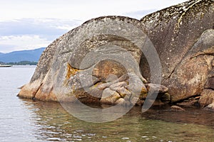 Pareidolia.  Stone beluga figure sleeping on the beach. photo