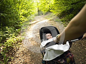 Parent and Baby Taking a Walk in the Woods