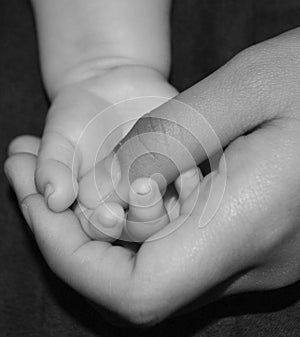 Parent and child hand.