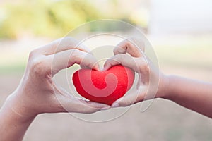 Parent and child holding red heart in hands and make heart shape