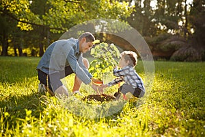 Parent and child planting tree