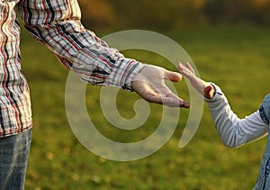 Parent holds the hand of a small child