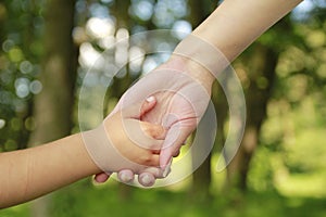 Parent holds the hand of a small child