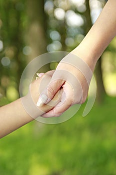 Parent holds the hand of a small child