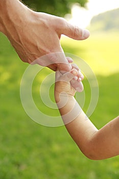 Parent holds the hand of a small child