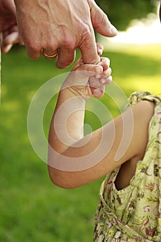 Parent holds the hand of a small child