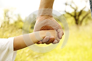 Parent holds the hand of a small child