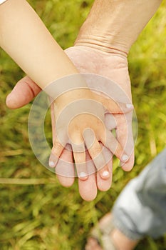 Parent holds the hand of a small child