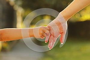 Parent holds the hand of a small child