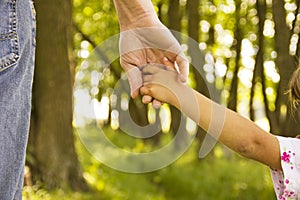 Parent holds the hand of a small child