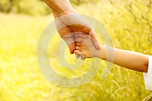 Parent holds the hand of a small child