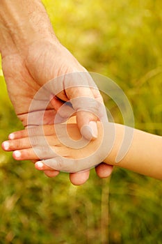 Parent holds the hand of a small child