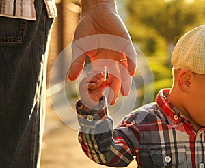 Parent holds the hand of a small child