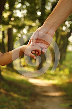 Parent holds the hand of a small child