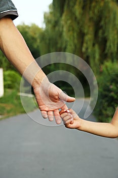 Parent holds the hand of a small child