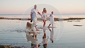 Parents and child walking the shore of the sea with the dog at the sunset