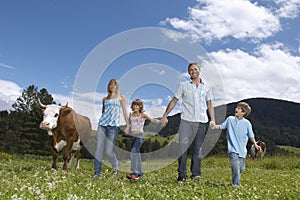 Parents and children (7-9) holding hands walking in field with cow