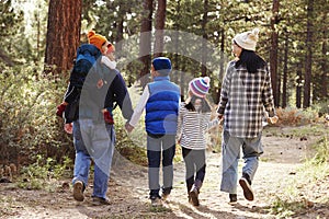 Parents and children walking in a forest, back view close up