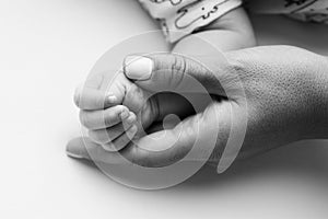 Parents& x27; hands hold the fingers of a newborn baby. Tiny fingers in a black white