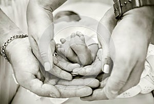 Parents holding baby feet in their hands