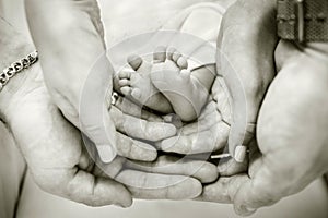 Parents holding baby feet in their hands