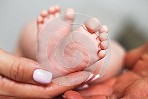 Parents holding newborn baby feet close up on white background