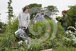 Parents and son (7-9) gardening