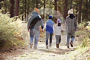 Parents and three children walking in a forest, back view