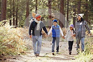 Parents and three children walking in a forest, front view