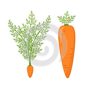 Pareto principle illustration with carrots