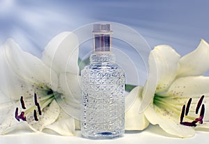 Parfume bottle photo