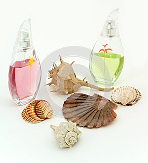 Perfume conchas 