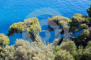 Parga sea island blue among green pine trees greece