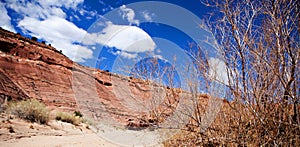 Paria Canyon Landscape