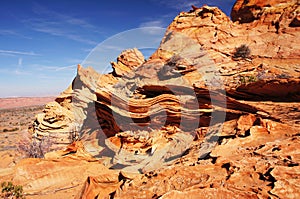 Paria Canyon-Vermilion Cliffs Wilderness, Arizona, USA photo