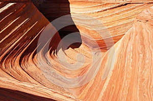 Paria Canyon-Vermilion Cliffs Wilderness, Arizona, USA photo