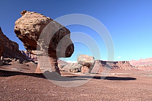 Paria Canyon-Vermilion Cliffs Wilderness, Utah,USA