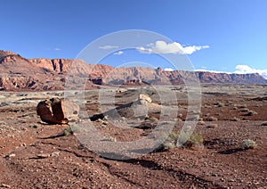 Paria Canyon-Vermilion Cliffs Wilderness, Utah,USA