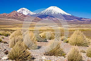 Parinacota and Pomerape Volcanoes in Chile