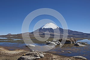 Parinacota Volcano on the Altiplano, Chile