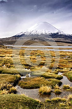 Parinacota volcano in Chile photo