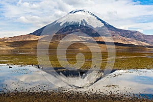 Parinacota volcano and Chungara lake (Chile)